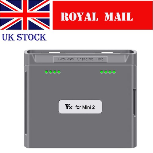 Dual battery charger fast - battery, –